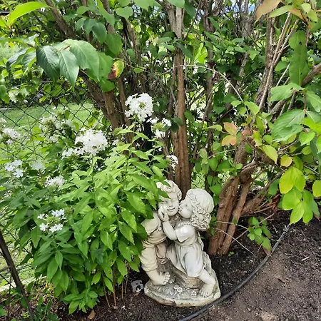 Apartment Ferienwohnung-hajek Sankt Ruprecht an der Raab