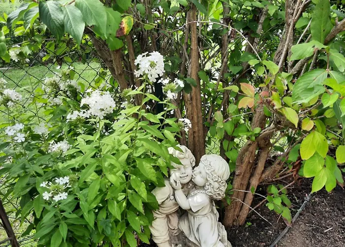 شقة Ferienwohnung-hajek Sankt Ruprecht an der Raab