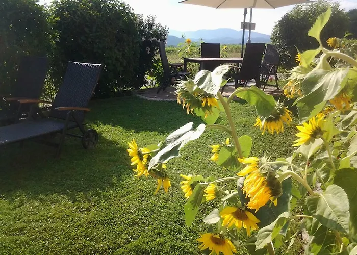 Ferienwohnung-hajek شقة *